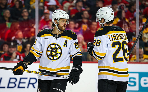 David Pastrák a Elias Lindholm z Bostonu se domlouvají pi utkání proti...