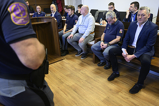 Trojice mu, kteí podle policie zorganizovali dodávku nkolika stovek...