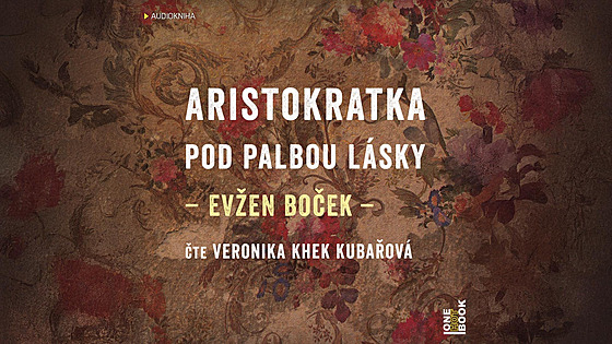 Aristokratka pod palbou lásky