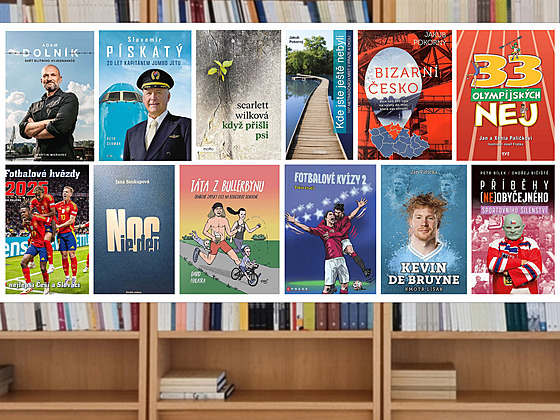 ilustra�ní snímek