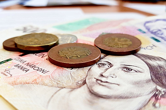 Nejvíce pen� poputuje op�t do oblasti �kolství.