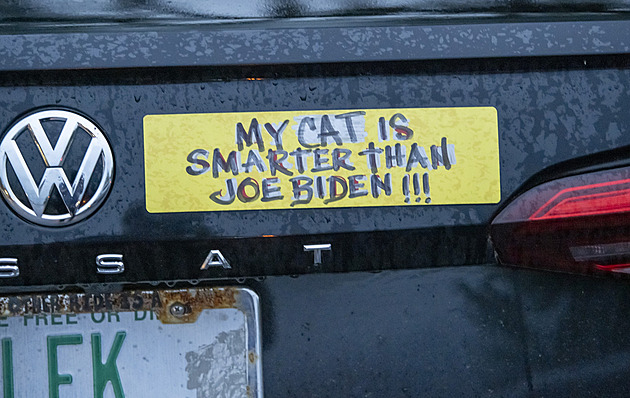 Milníky roku 2024: pád Bidena, Asadova režimu a Hizballáhu. Mladí začali měnit své politické preference