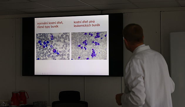 Na interní hematologické a onkologické klinice ve Fakultní nemocnici Brno u...
