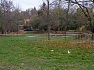 Park U Lva leící vedle Brnnské pehrady ml projít obnovou, místo toho zstal...