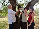 �e�tí v�dci sdru�ení ve spolku Antelope Conservation se proto nyní zam��ují na...