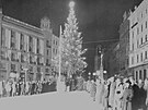 Sn�mek prvn�ho v�no�n�ho stromu na n�m�st� Svobody v Brn� v roce 1924.