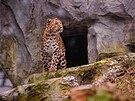 Nvtvnci olomouck zoologick zahrady si u mohou ve vbhu prohldnout...