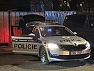 Prask policisty zalarmoval dlnk, kter na Nedvdov nmst v centru msta...