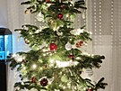 �tená�ka Markéta zaslala krásný strome�ek.