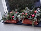 Markéta nezapomn�la ani na okenní parapety. Na truhlíky je radost pohled�t.