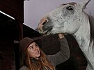 Zuzana Gazdov�, kter� se v�nuje hipoterapii, vod� kon� do soci�ln�ch �stav� i...