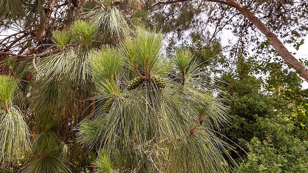 ilustra�ní snímek