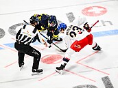 Luká� Sedlák na vhazování proti Andreasi Wingerlimu.