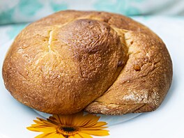 Gubana, tradi�ní kolá� s ovocnou a o�echovou náplní ze severoitalského Friuli,...