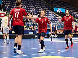 �eský florbalový národní tým na MS 2024 v Malmö slaví hattrick Tomá�e Hanáka...