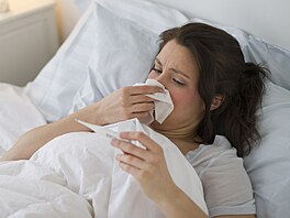 ilustra�ní snímek