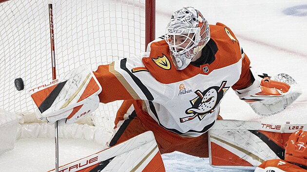 Luk� Dost�l z Anaheim Ducks zasahuje v z�pase s Montreal Canadiens.