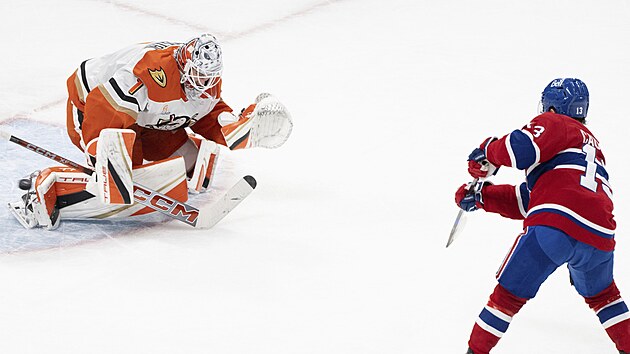 Cole Caufield z Montreal Canadiens v n�jezdech p�esn� zam��il mezi betony brank��e Luk�e Dost�la z Anaheim Ducks.