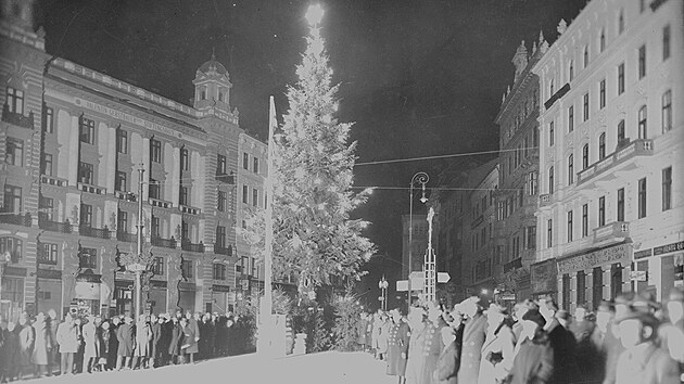 Snmek prvnho vnonho stromu na nmst Svobody v Brn v roce 1924.