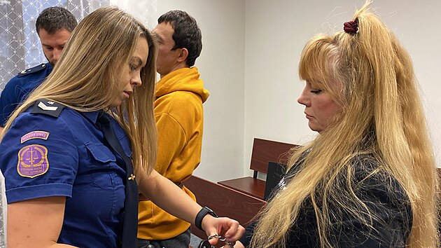 Krajsk soud v Plzni zaal projednvat ppad pokusu o vradu na ubytovn v Kollrov ulici v Plzni, ke ktermu dolo letos v noru. (11. prosince 2024)