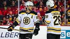 David Pastr�ák a Elias Lindholm z Bostonu se domlouvají p�i utkání proti...