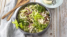 Zelen� coleslaw