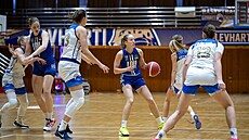 Momentka z chomutovského derby mezi Levharticemi a LOH 2028. Prostor pro...