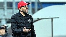 Marek Bako, asistent trenéra Miroslava Koubka, bhem utkání Plzn s Realem...