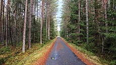 Krajina Vitorazska kolem Prdele je hodn� lesnatá a protínají ji rovné asfaltové...