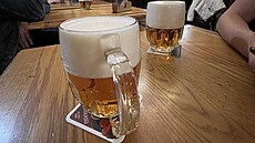 Plze� U Pinkas� vyjde na 79 korun.