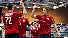Josef Rýpar (�íslo 31) slaví branku v zápase proti N�mecku na MS 2024 v Malmö.