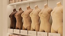 ilustra�ní snímek