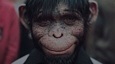 Snímek z filmu Better Man