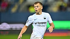 Michal Hlavatý z Liberce