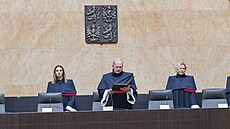 Ústavní soud zruil  lex Babi II (10. prosince 2024)