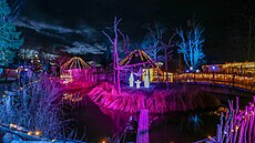 Zá�í: �trnáctý ro�ník váno�n� nasvícené Zoo Hluboká potrvá do 5. ledna....