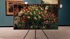 Pro vtí obrazy se vyplatí zvolit i velký formát televize...