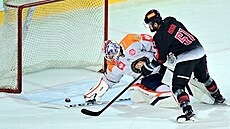 Roman Horák ve sparanském dresu v utkání s Växjö