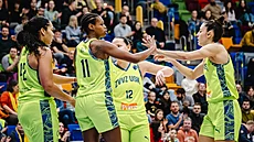 Basketbalistky USK Praha se hecují.