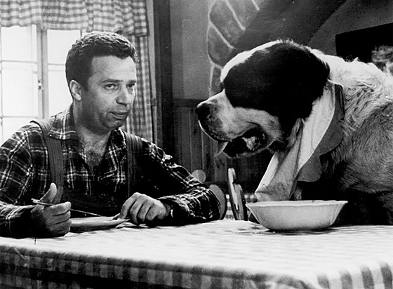 Vladimír Men�ík s bernardýnem Baldurem v komedii Bohou�