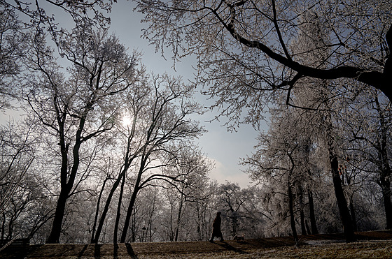 Mráz doprovází inverzní po�así v Praze. (29. prosince 2024)