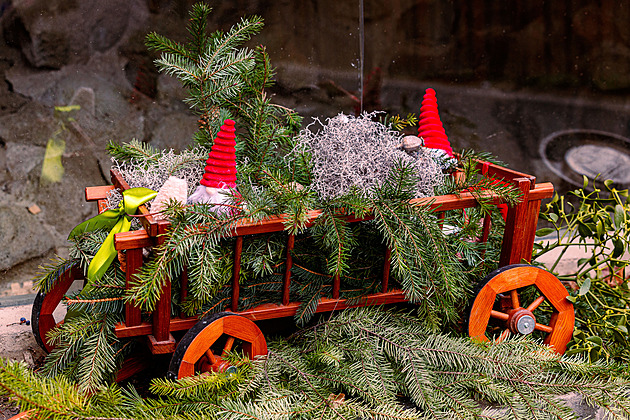 Svtelné ozdoby ve tvaru zvíat i vánoní dekorace s vní jehlií a pune...