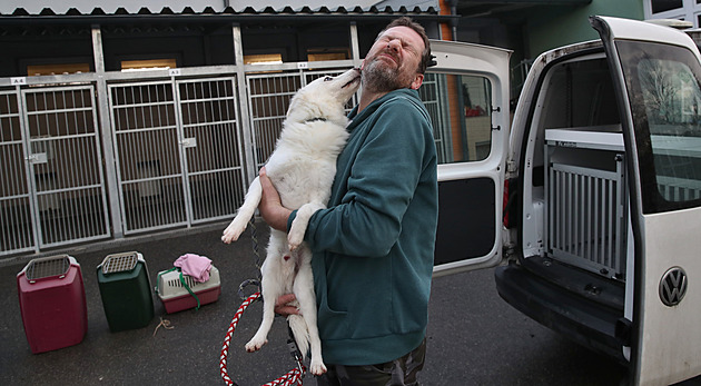 Matou Pohl pracuje jako odchytový pracovník psího útulku v Ostrav Tebovicích.