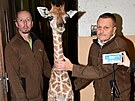 Ven a men irafho mldte v olomouck zoologick zahrad. (20. prosince...