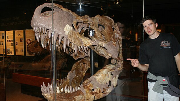 Vladim�r Socha u jedn� z nejv�t��ch lebek slavn�ho druhu Tyrannosaurus rex (Museum of the Rockies, Montana), 2009