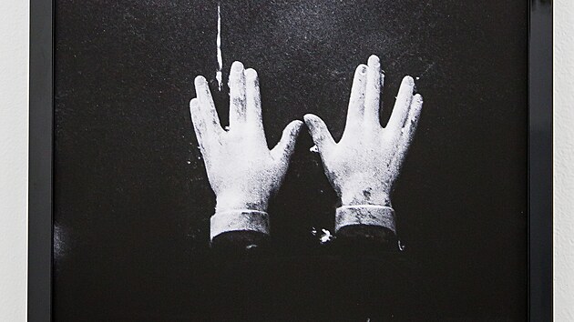 Z vstavy fotografi Libue Jarcovjkov v roce 2021 v eskch Budjovicch (19. prosince 2024)