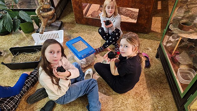 D�ti se v minizoo dostanou do neju���ho kontaktu se zv��aty.