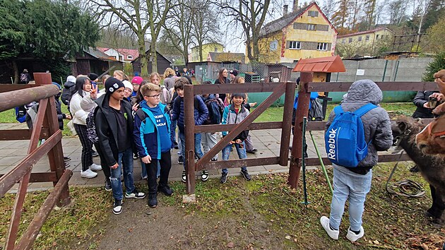 D�ti se v minizoo dostanou do neju���ho kontaktu se zv��aty.