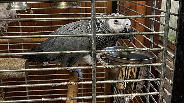 N�v�t�vn�ci mohou obdivovat nap��klad i exotick� ope�ence.