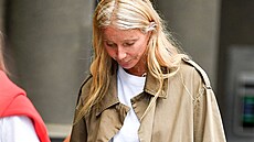 Here�ka Gwyneth Paltrowová u� se tém�� nemaluje. Byla jednou z prvních...